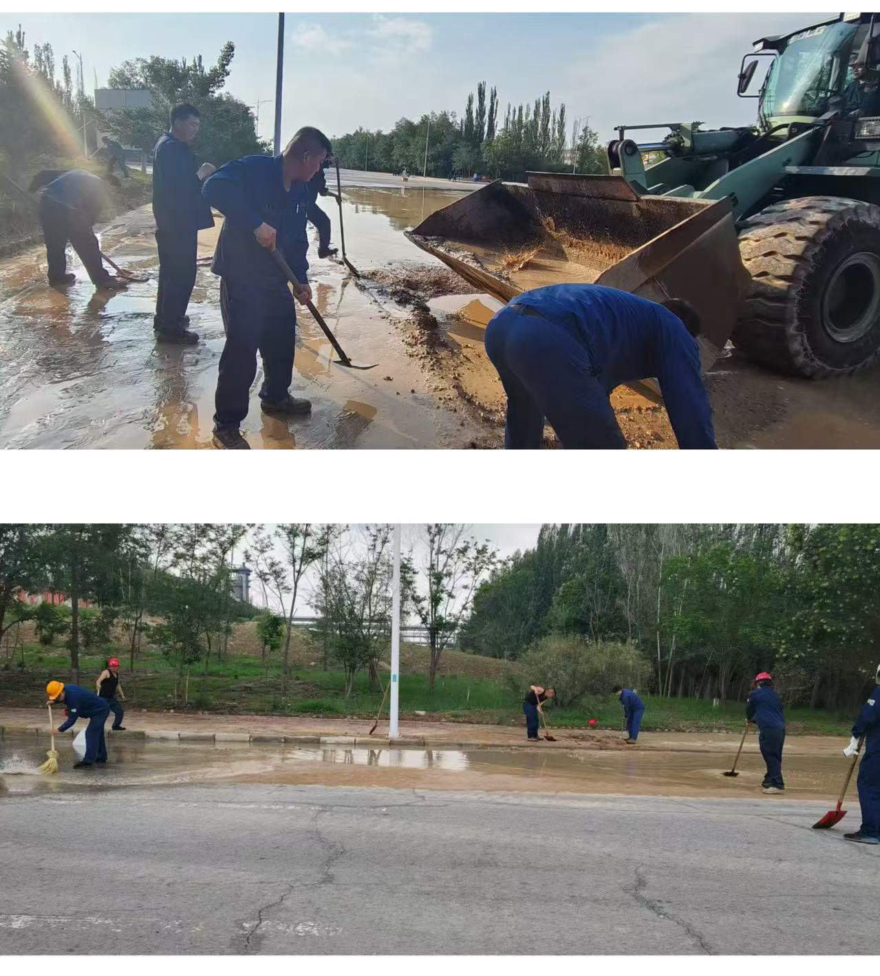 517945f7-719a-11f0-ad2e-8cbd52c5c617.jpg 517945f7-719a-11f0-ad2e-8cbd52c5c617.jpg